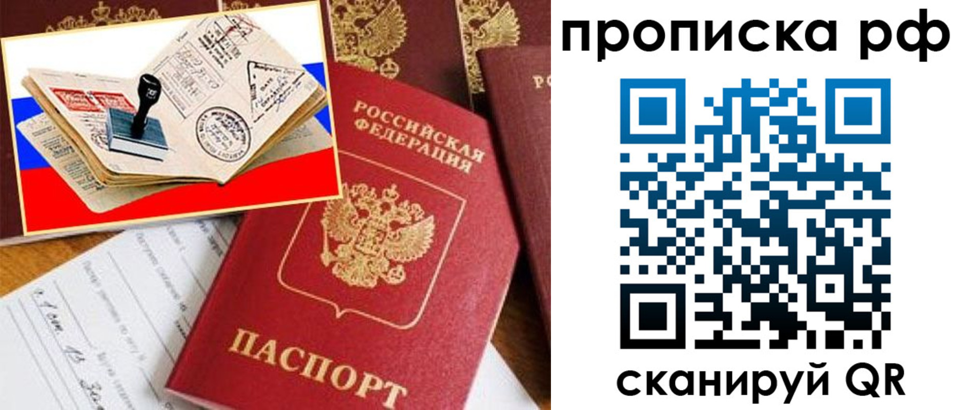 прописка иностранных граждан в Калининградской области